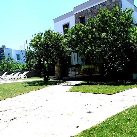 Villa Mandalin *